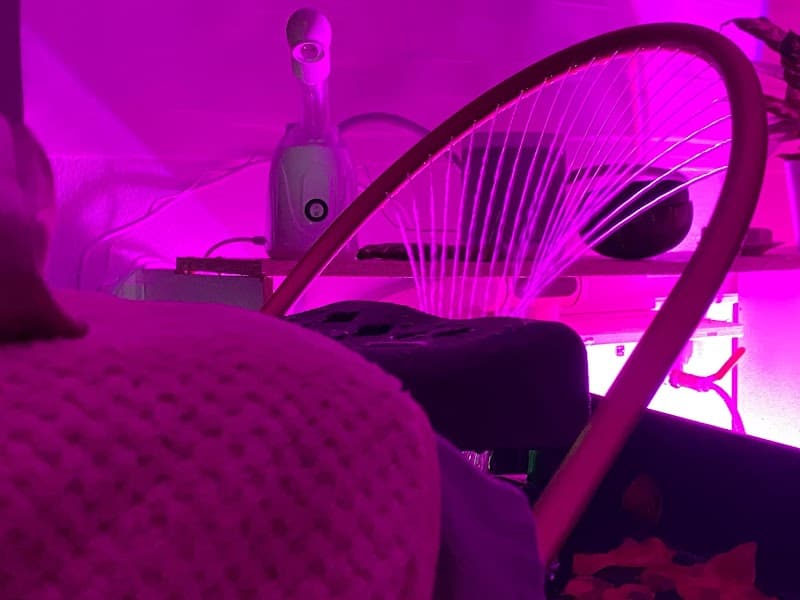 Wellness by Nuvia Contreras Braga photo