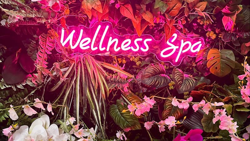 Wellness Marketplace LLC Salon and Spa American Canyon photo