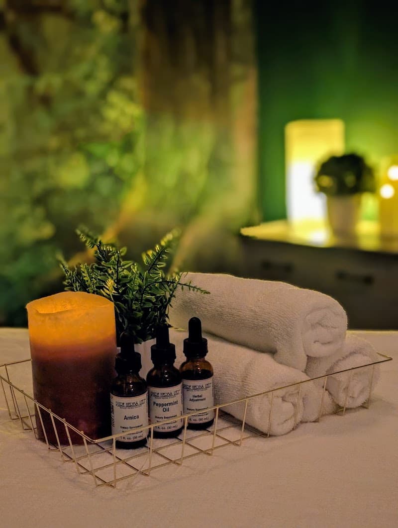 Wellness Spa of Plymouth Bloomington photo