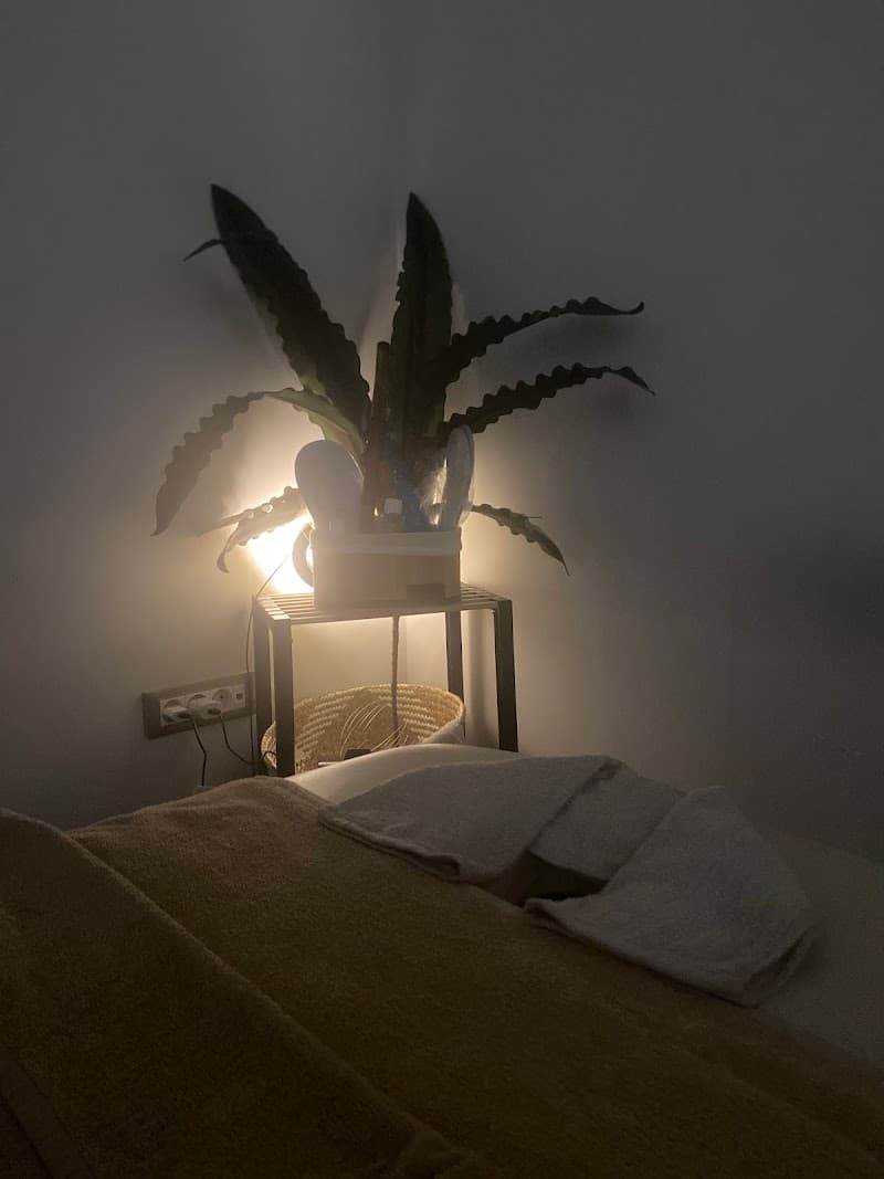 WellNest by Sylvia V. Kefalonia photo