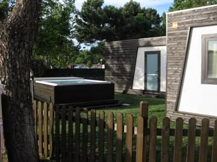 Welly The Moving Wellness Company Ladispoli photo