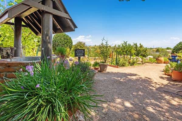 Westward Look Wyndham Grand Resort and Spa Tucson photo