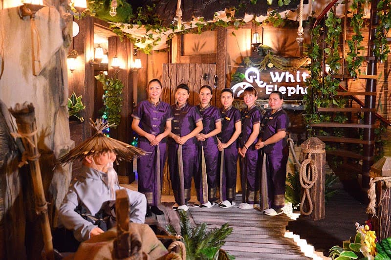 White Elephant Thai Massage Salon Moscow photo
