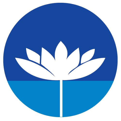White Lotus Yangon photo