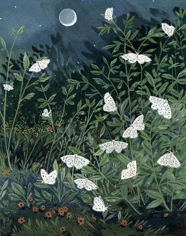 White Moth Wellness Willoughby photo