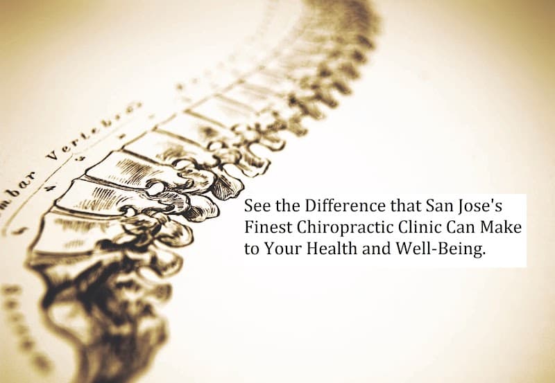 Whole Body Chiropractic & Massage San Jose photo
