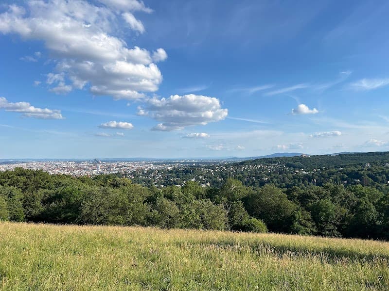 Wiese Schafbergbad Wien photo