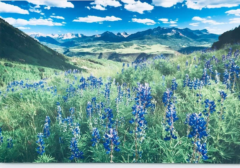 Wildflower MediSpa Colorado Springs photo