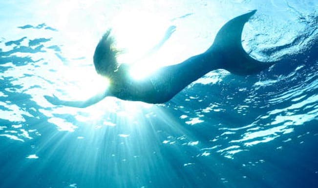 WildSeas WellBeing Busselton photo