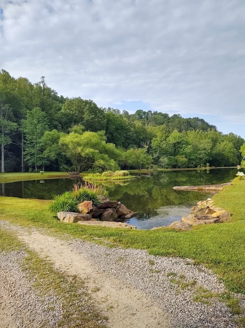 Willow Creek Falls Med Spa Blue Ridge photo