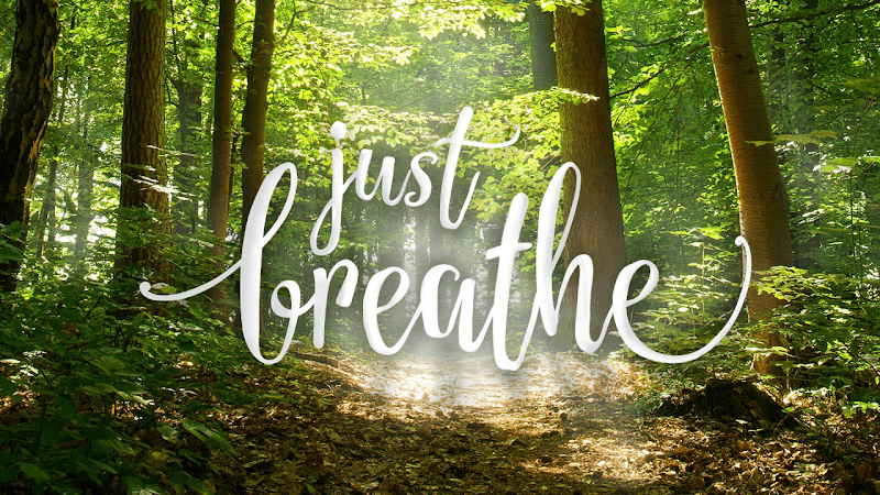Willow Creek Massage Therapy New Glasgow photo