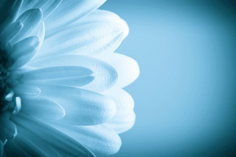 Willow Medical Aesthetics, Dr Liezl Sullivan Campbell River photo