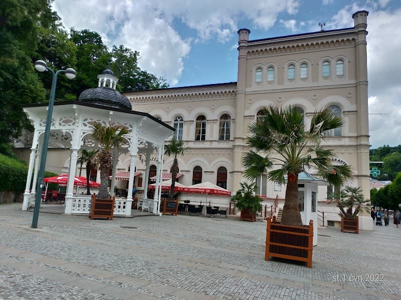 Windsor Spa Hotel Karlovy Vary photo