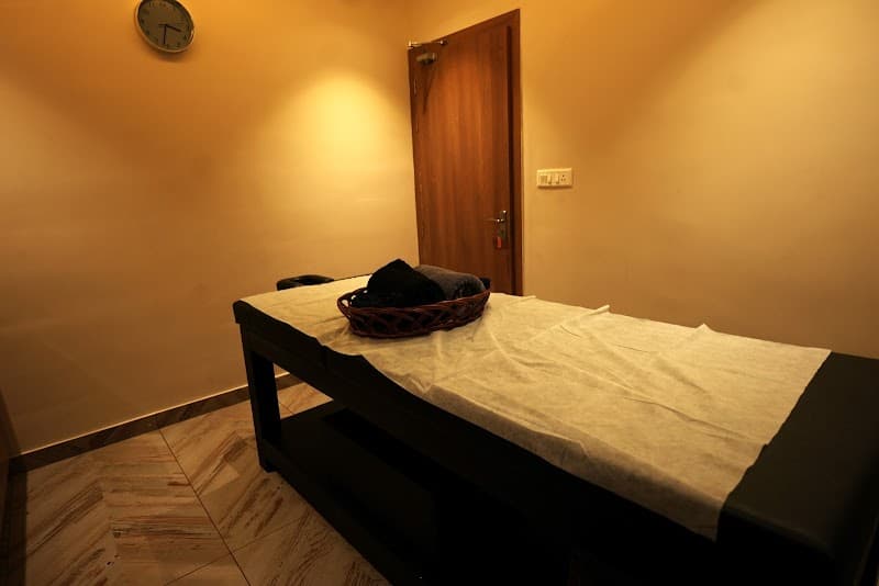Winter Wellness Spa Cherthala photo