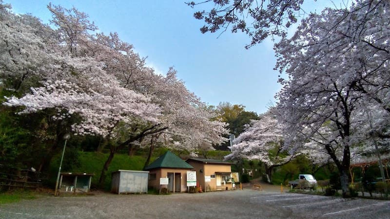 Isehara wis.te.ria photo