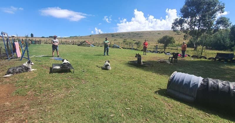 Witbank K9 Club, Dog SPA eMalahleni photo