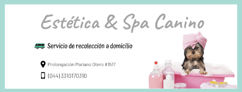 Wolfies Estetica y Spa Canino Zapopan photo