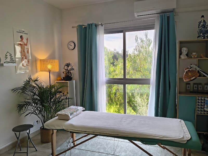 WU XING énergétique chinoise Villeneuve-Loubet photo