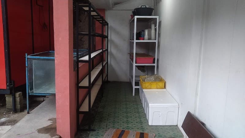 Jakarta Selatan xamixami.betta photo