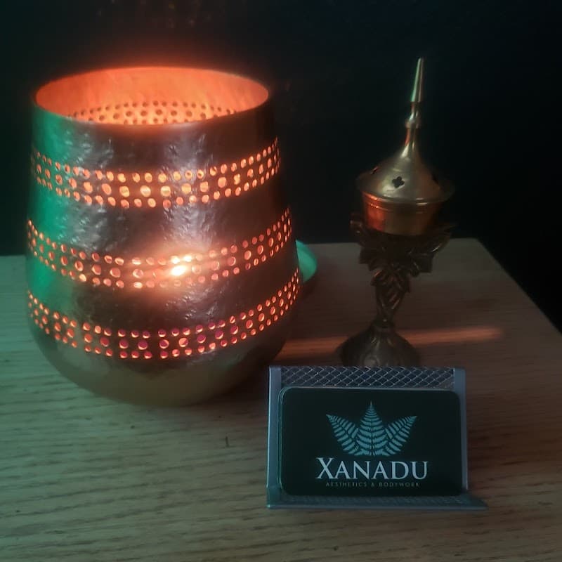 Xanadu Aesthetics and Bodywork Puyallup photo