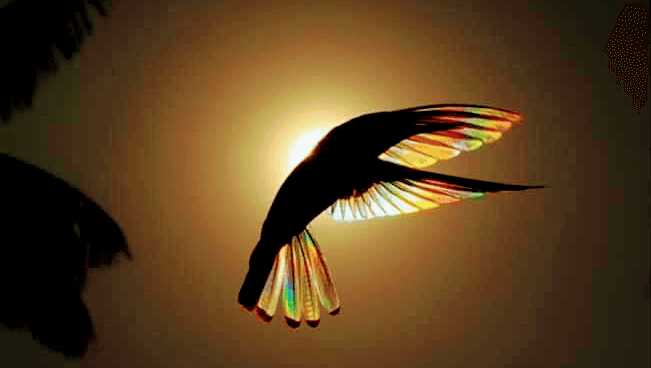 Xenia Lisica: Deep Tissue Massage Senior Medical Masseur Ramat Gan photo