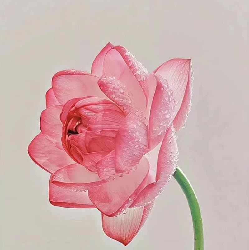 Xixi beauty spa Quận Tân Bình photo