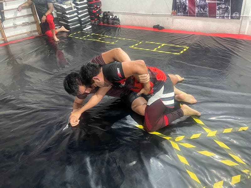 Xtremefitnnes Gustavo A Madero photo