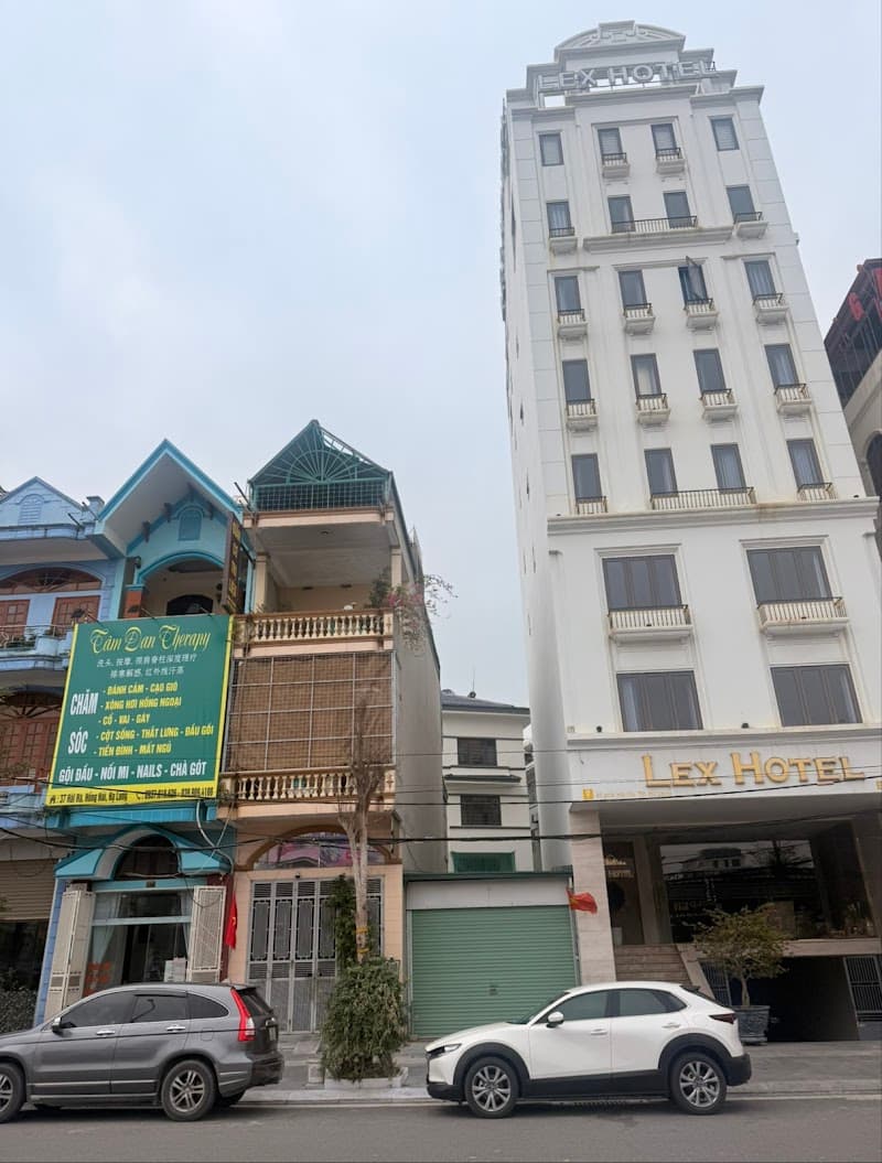 Y Ngải Đường Hoa Trung Tâm Trị Liệu Hạ Long photo