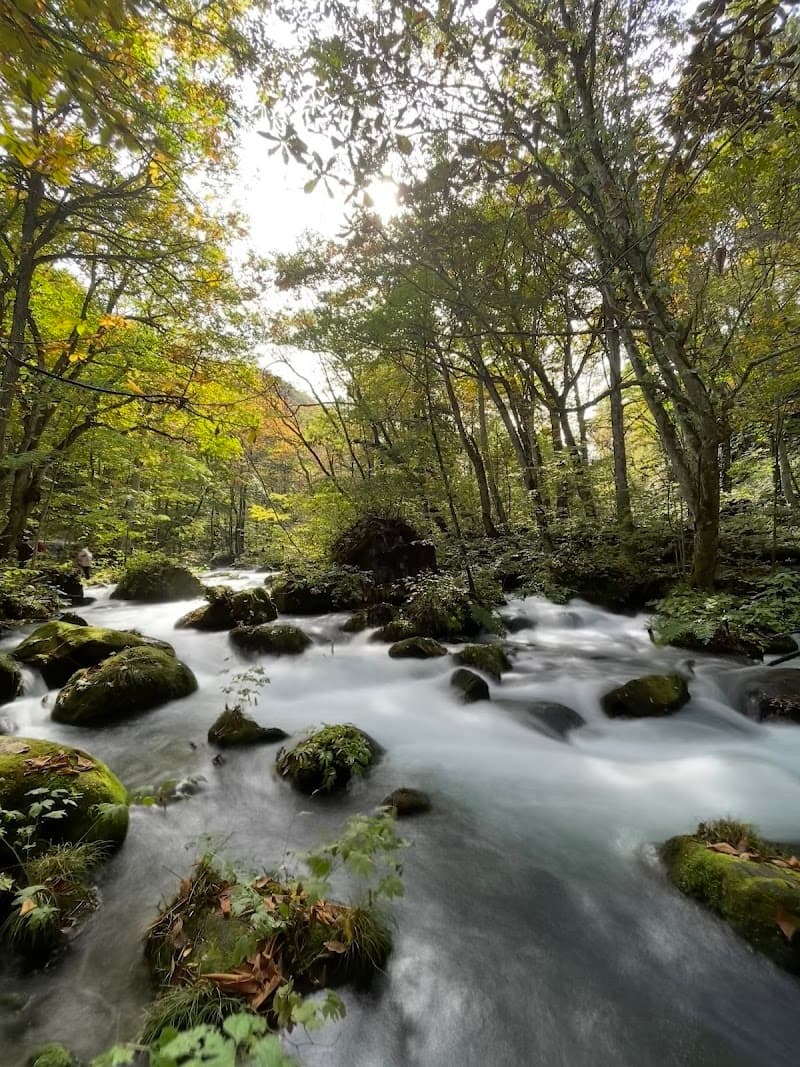 Yaekujyu no Yu Towada City photo