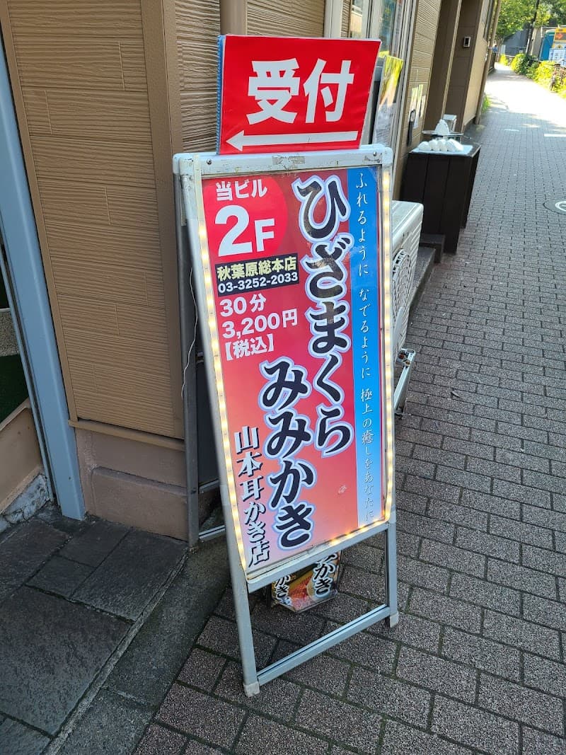 Yamamoto Ear Cleaning Akihabara Main Store Chiyoda City photo