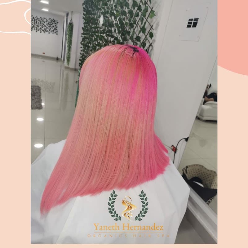 Yaneth Hernandez Organics Hair Spa Cali photo