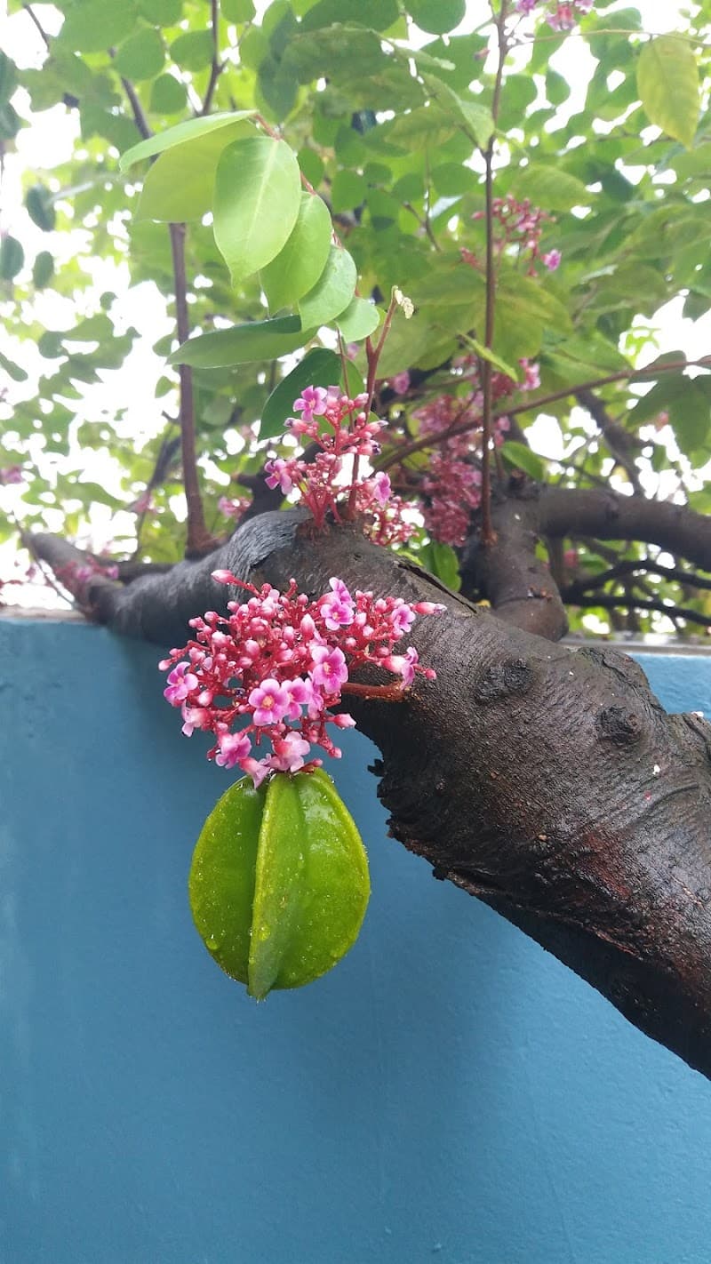 Yến Mai - Hair & Spa Quận Hai Bà Trưng photo