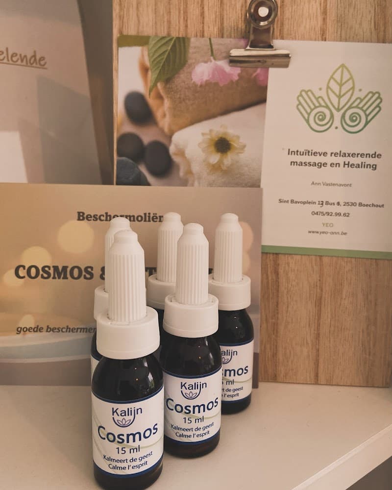YEo intuïtieve relaxerende en Helende Massage Boechout photo