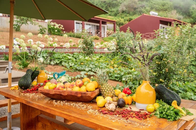 Yeotown Madeira Health Retreat photo