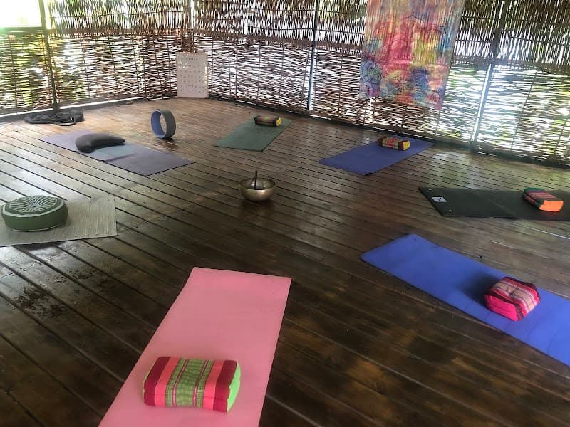 Yog.À.Vie Elisalizé : yoga massages soins thérapeutiques Saint-Pierre photo