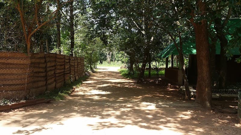 Yoga Weda Asapuwa Habarana photo