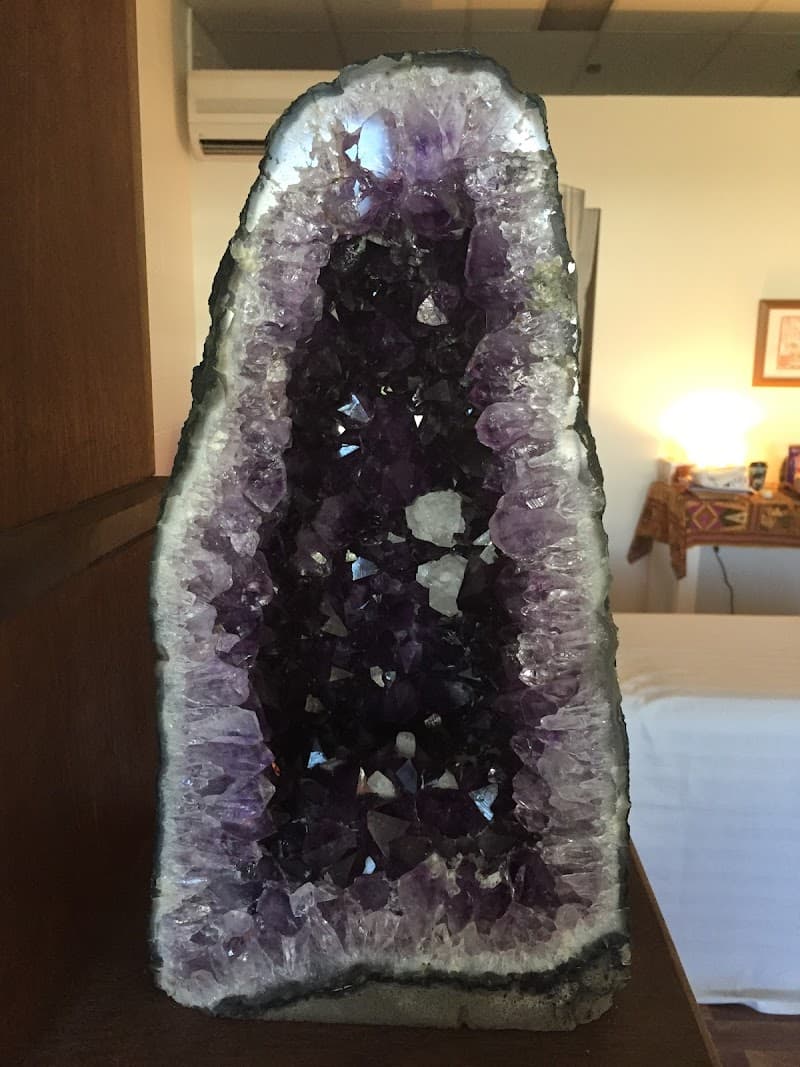 Yoko at Mission Mission Beach photo