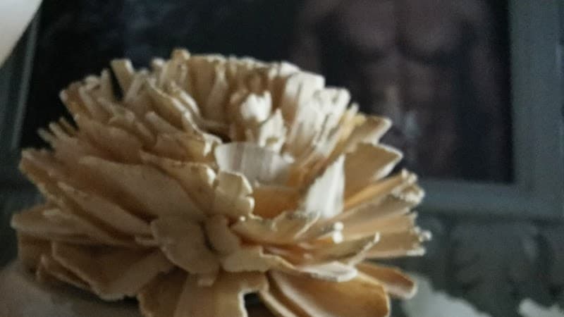 Yongheng Hall - Muti Professional Spa New Taipei City photo