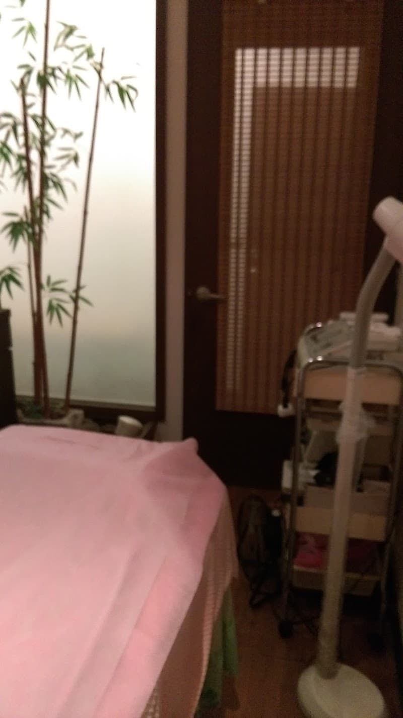 Yongmei Professional Beauty Spa Elite Center Chiayi City photo