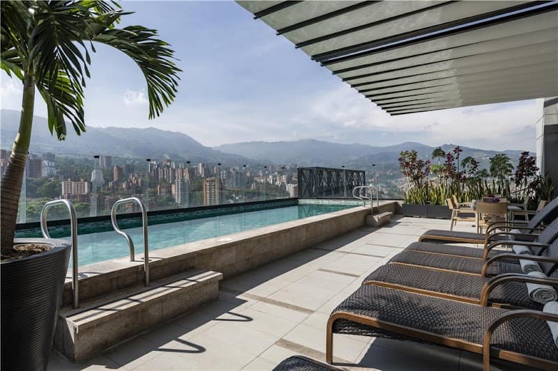 York Medellin, Curio Collection by Hilton Medellín photo