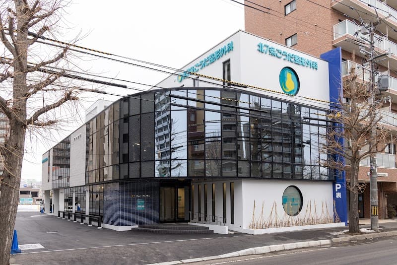 Yotsuba Orthopedic Clinic Hiragishi Sapporo Toyohira Ward photo