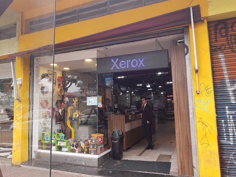 YUMI DRICA São Paulo photo