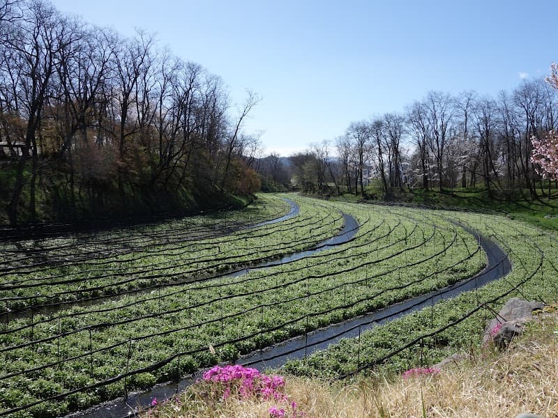 Yutari Yama no Kami Azumino City photo