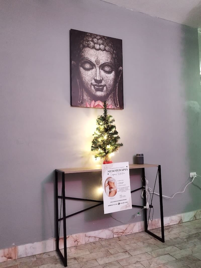 Zaitana SPA Chihuahua photo