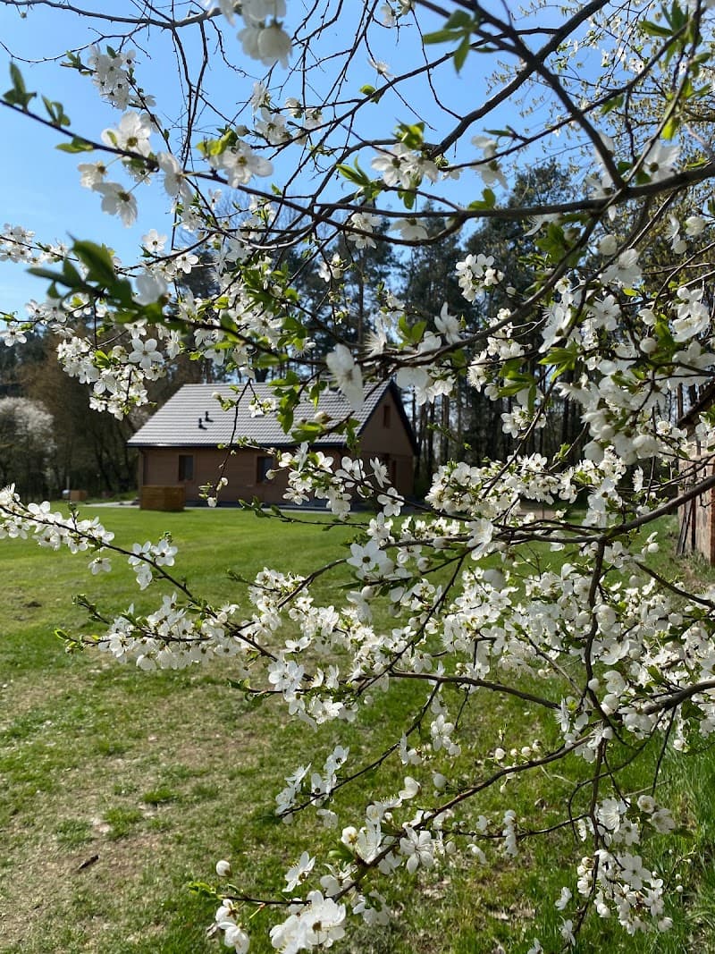 Zakątek_Zabiele38 Kolno (Gmina) photo