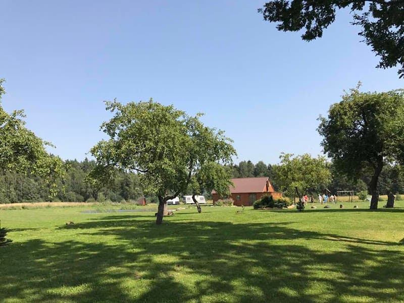 Alionys I Žaliosios versmės photo