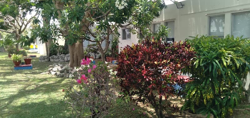 Zalus Instituto Cancún photo