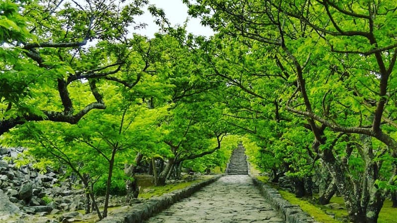 Zekuu Okinawa Nakijin Village, Kunigami District photo