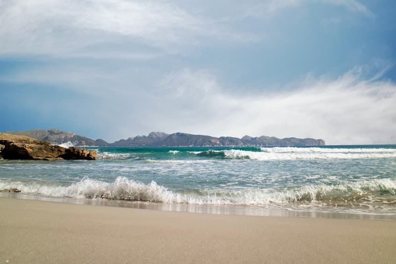 ZEN Health and Beauty Palma photo