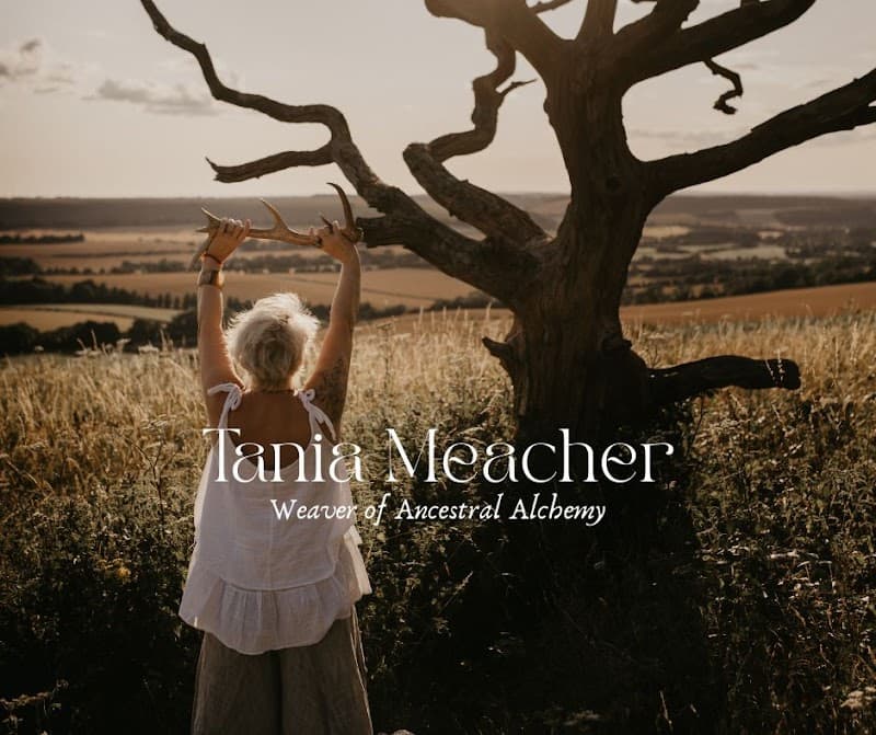 Zenses Holistic Therapies Havant photo